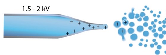 ESI needle schematic